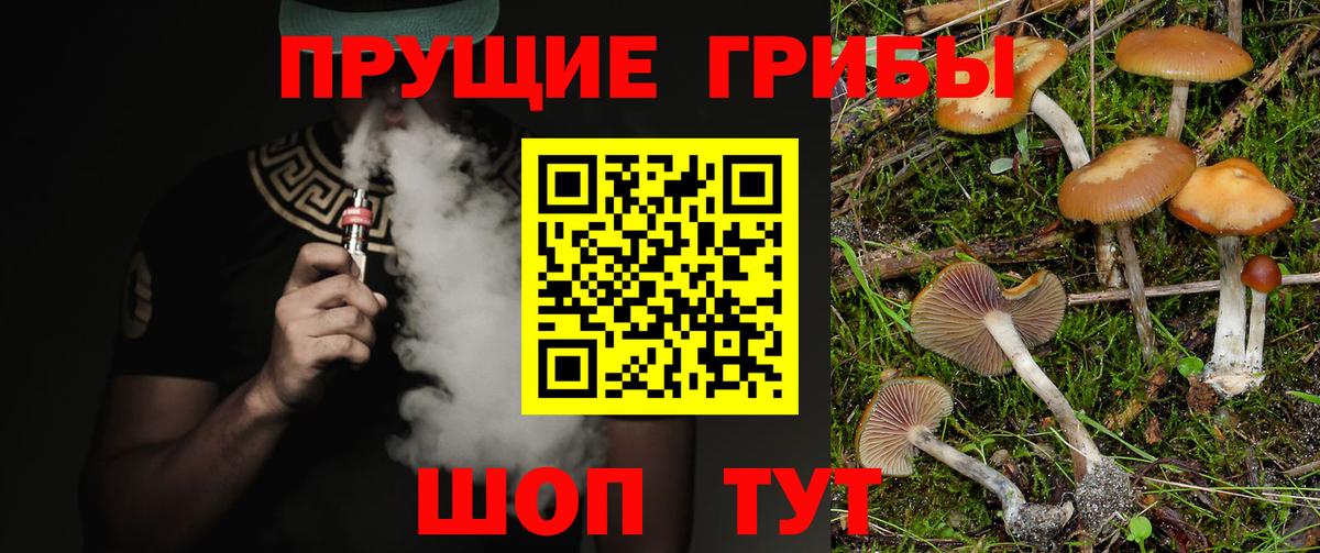 Псилоцибиновые грибы Psilocybine cubensis  Галлюциногенные грибы MAGIC MUSHROOMS  наркотики  Вход с VPN  Балашов 